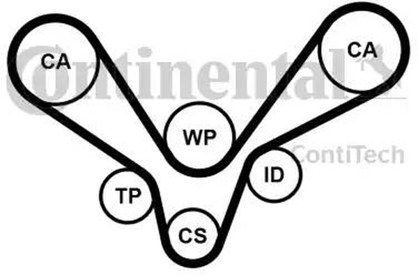 Комплект ремня ГРМ с водяным насосом AUDI A4 Contitech CT1015WP1