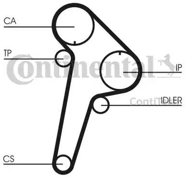 Комплект ремня ГРМ CITROEN Jumper Contitech CT891K1