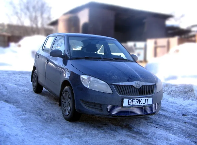 Накладка на решётку бампера Berkut d10 для Skoda Fabia Mk2 (5J) 2007-2020