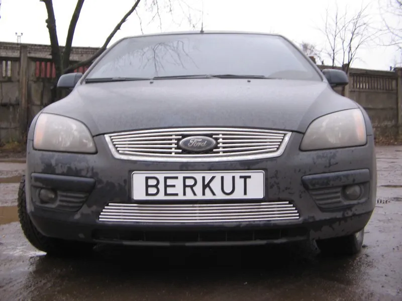 Накладка Berkut на решётку бампера d10 для Ford Focus II 2004-2008