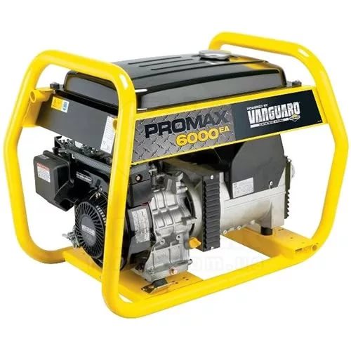 Генератор бензиновый Briggs & Stratton ProMax 6000EA