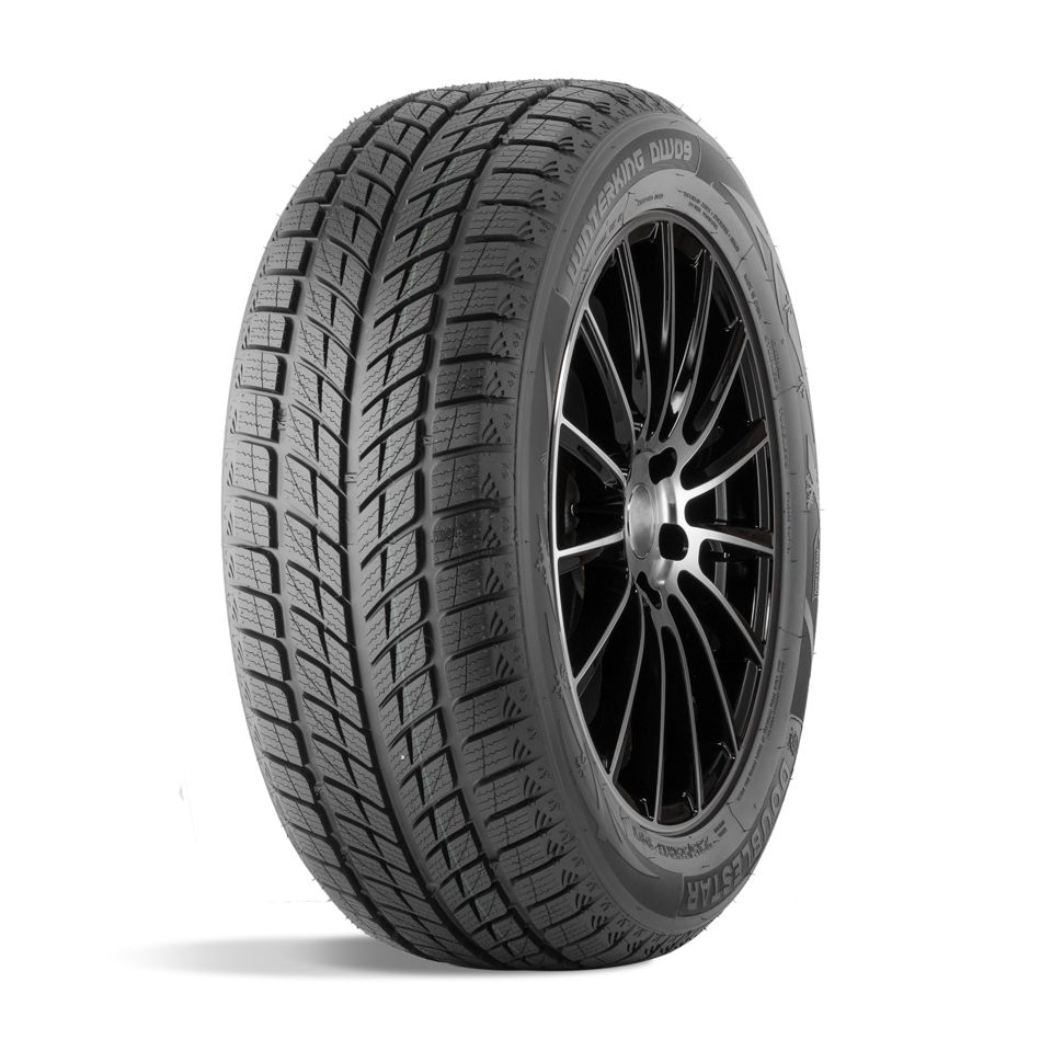 Шины ДаблСтар DW09 235/55 R17 99T