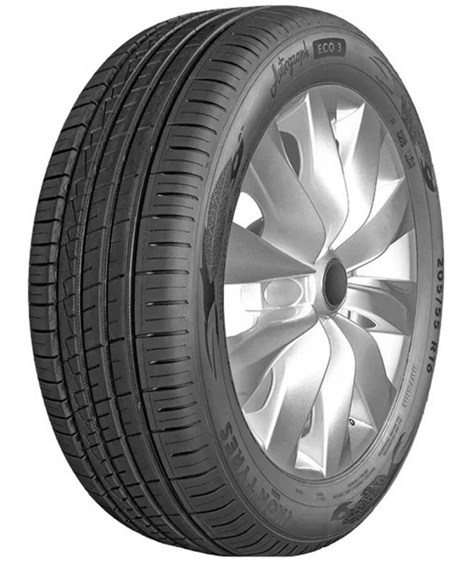 Шины летние Ikon T731442 Tyres Autograph Eco 3 R13 175/70